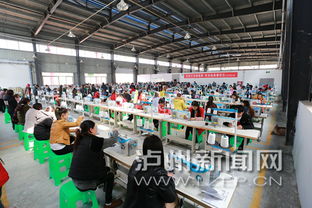 泸州古蔺玩具与纺织品 出海德国，带动就业新篇章